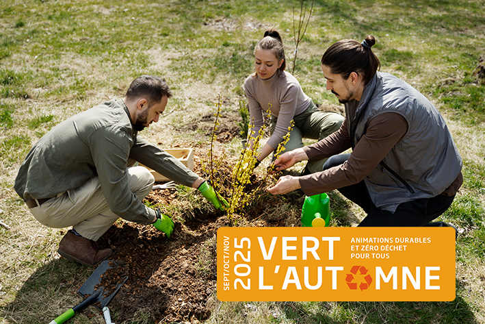 plantation de vivaces