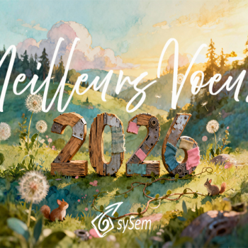 meilleurs voeux 2026